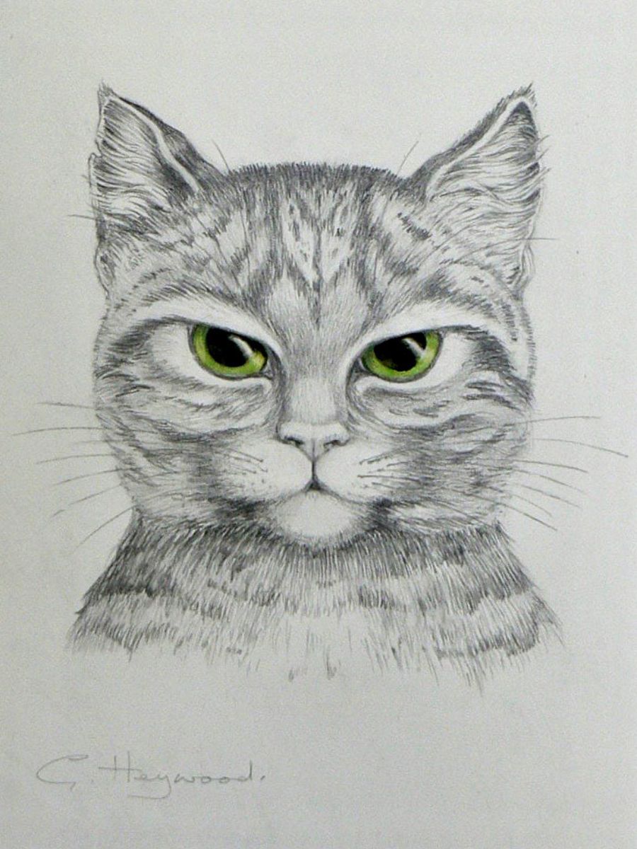 Gillian Heywood Cat with Green Eyes