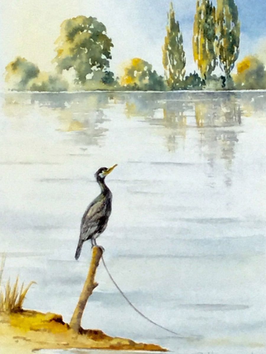 Gillian Heywood Cormorant on a Post