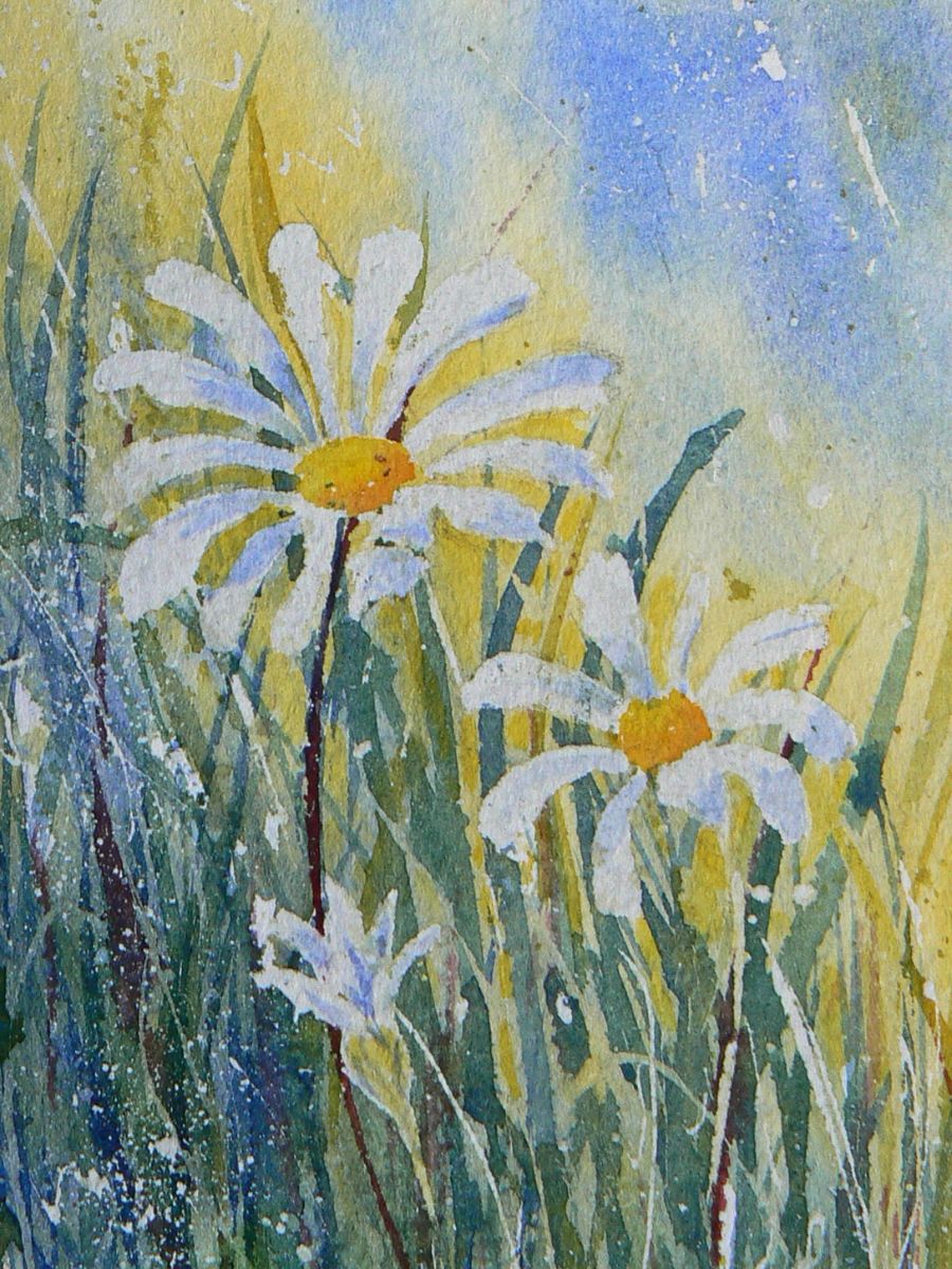 Gillian Heywood Daisies