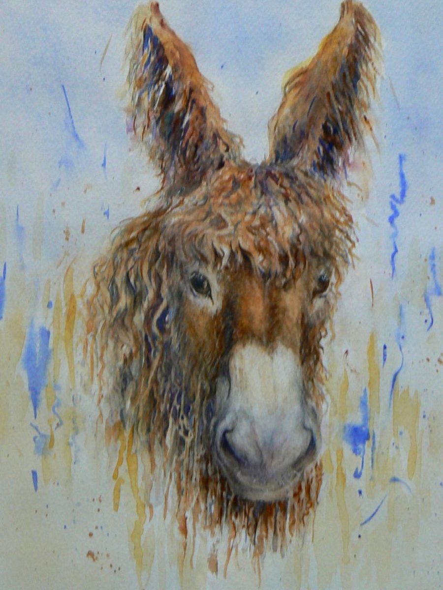 Gillian Heywood Donkey