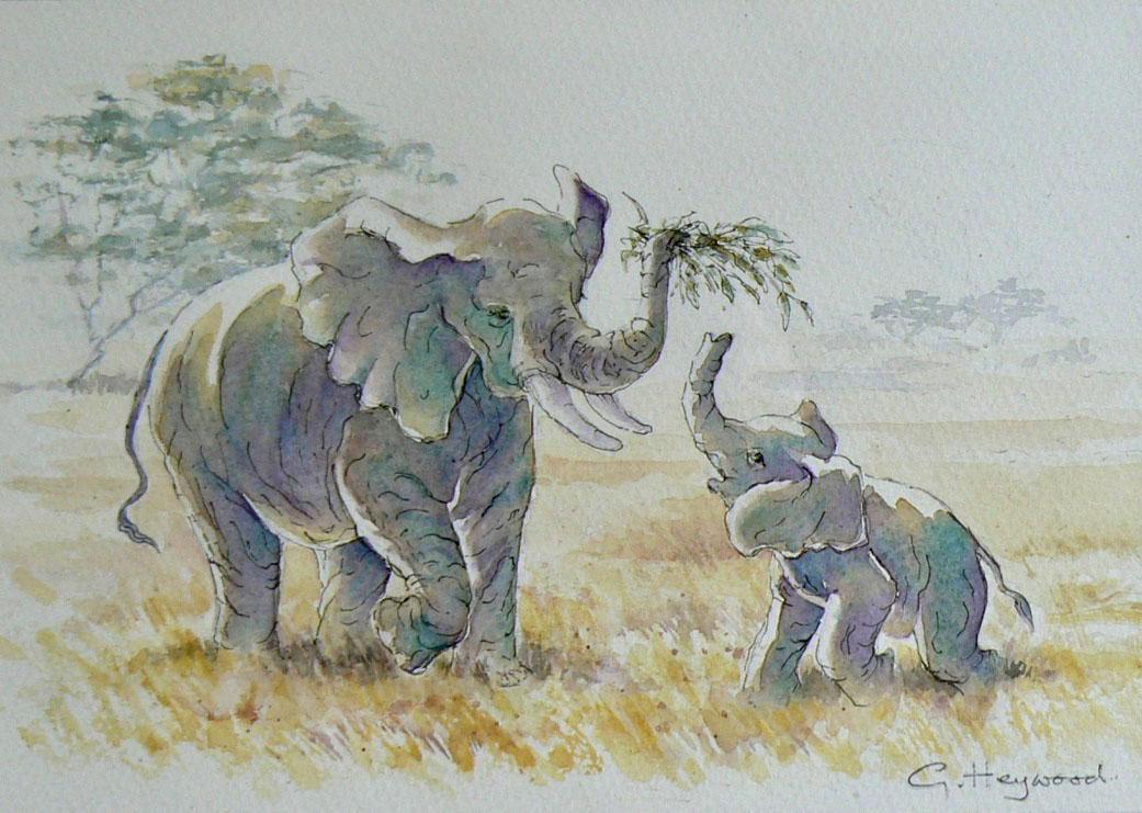 Gillian Heywood Elephant and Calf