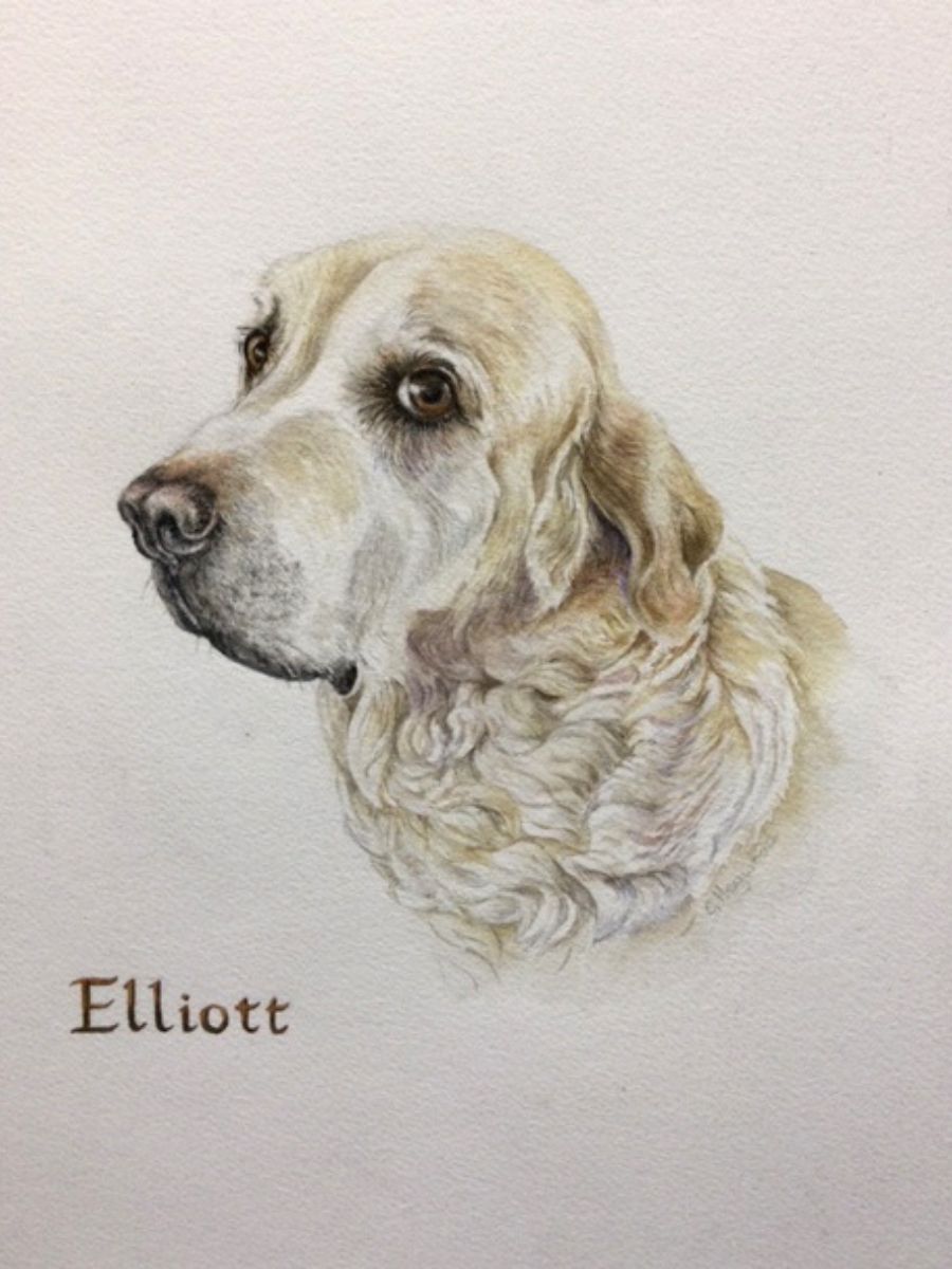 Gillian Heywood Elloitt