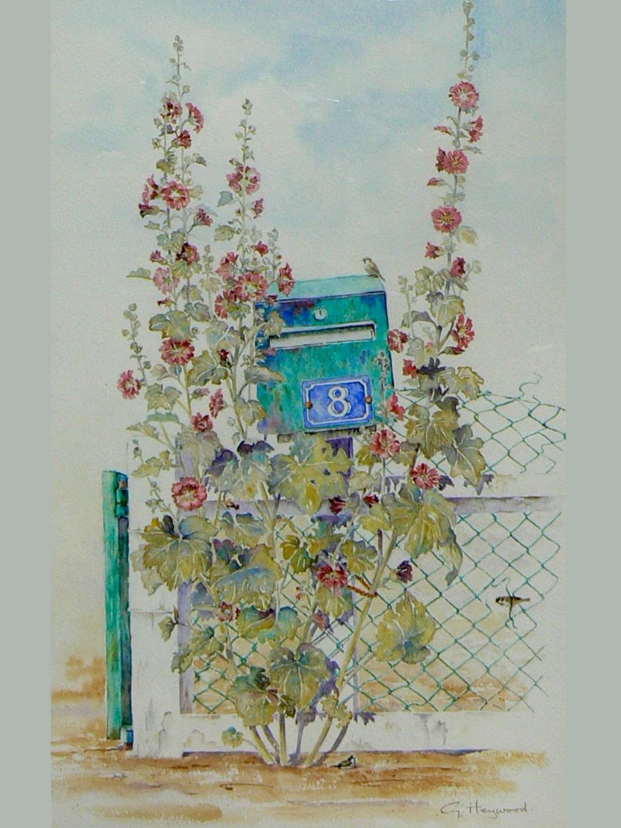 Gillian Heywood Hollyhocks