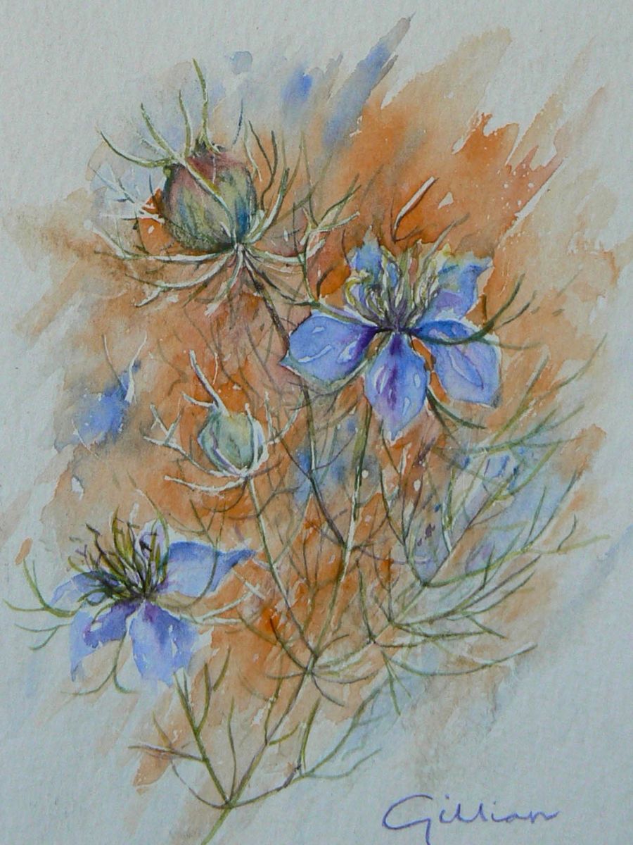 Gillian Heywood Love in a Mist