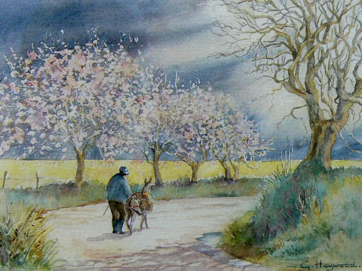 Gillian Heywood Man and a Donkey