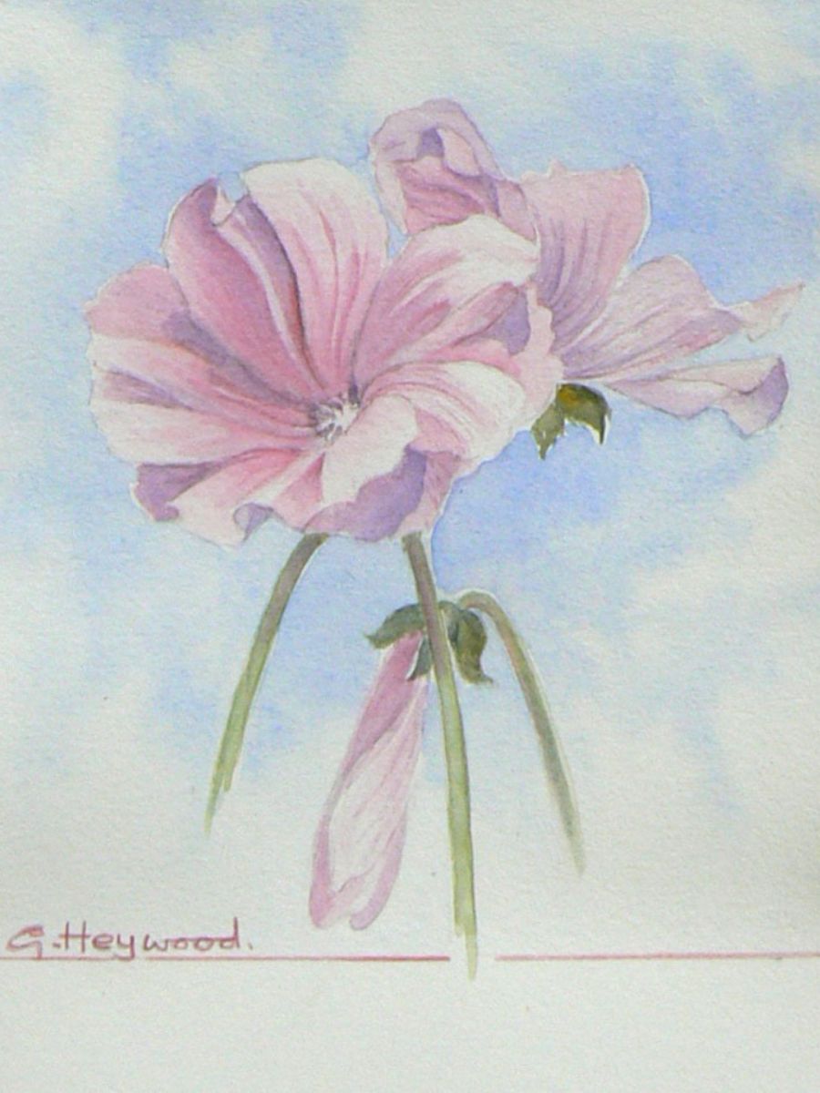 Gillian Heywood Pink Flowers