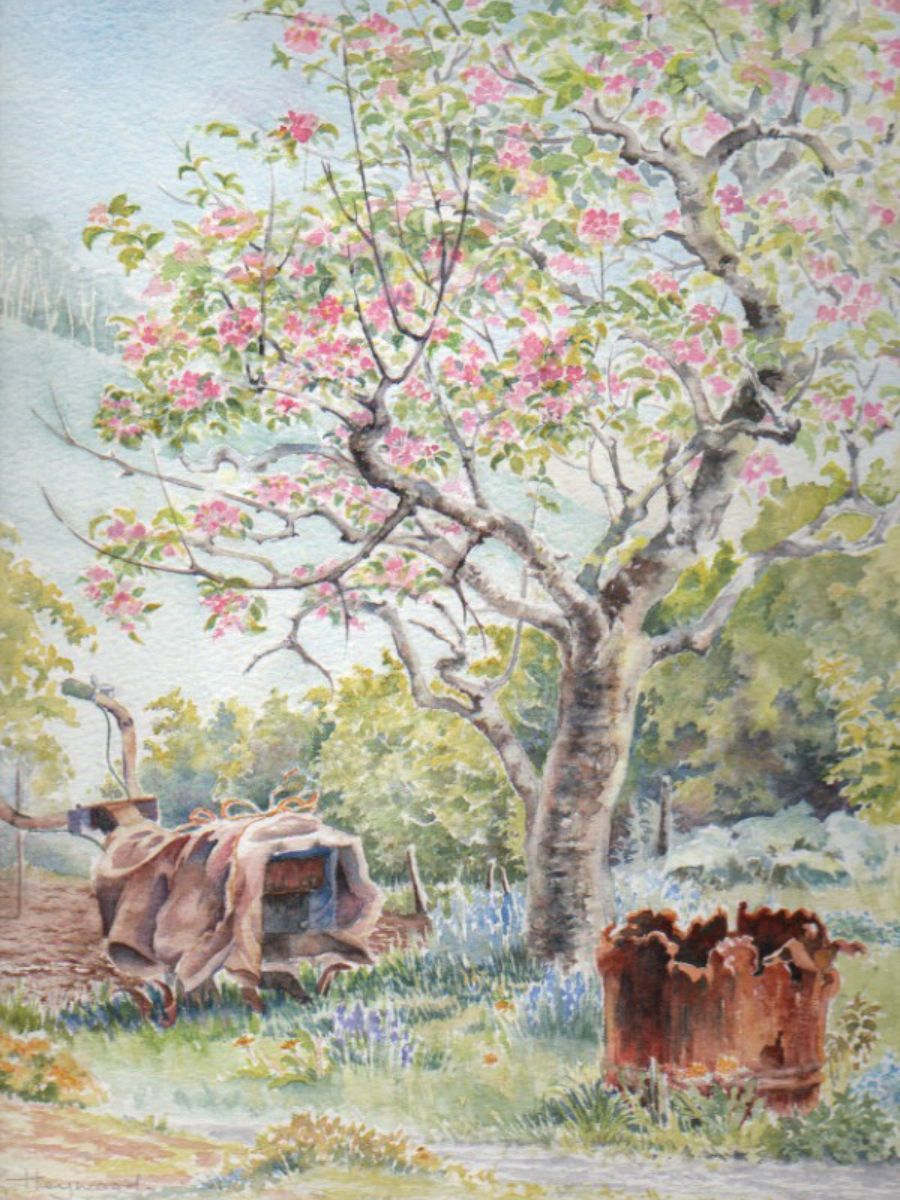 Gillian Heywood Tree in Flower