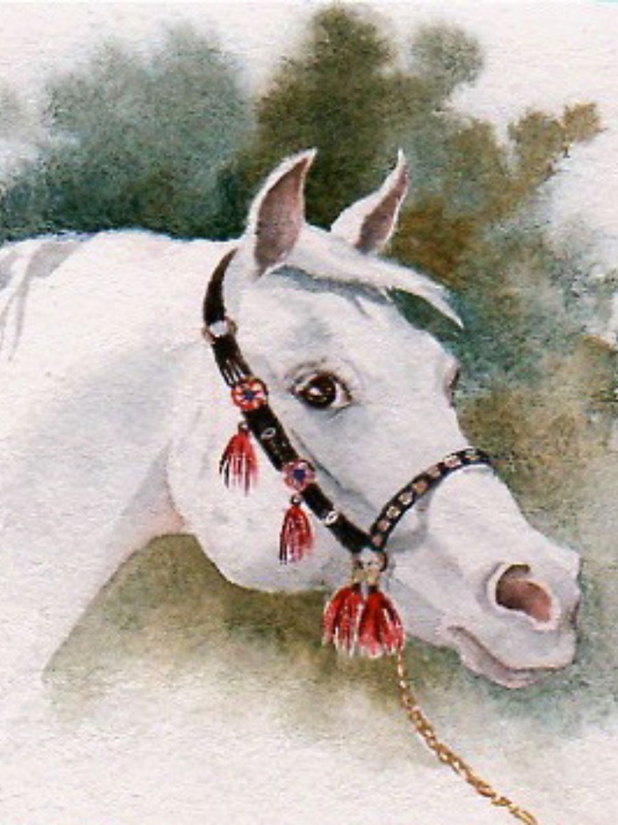 Gillian Heywood White Horse