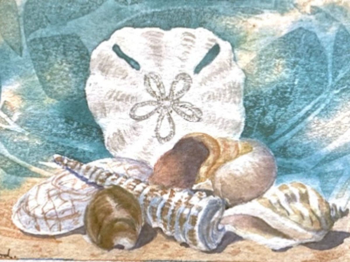 Gillian Heywood - Omani Seashells