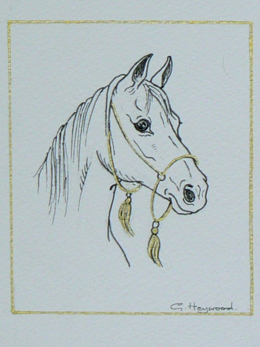 Gillian Heywood - White Horse